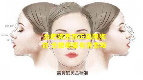 合肥哪里有正规隆胸的 合肥哪里有滑雪场